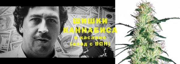 молекула духа Алзамай