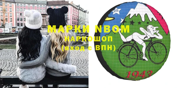 шишки Карпинск