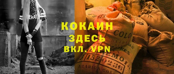 шишки Карпинск