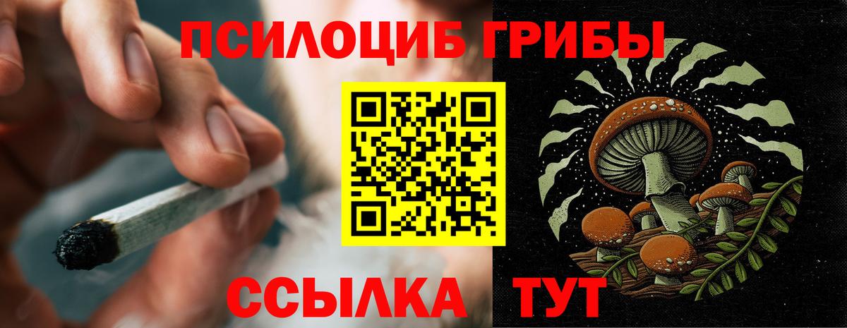 Галлюциногенные грибы прущие грибы Санкт-Петербург