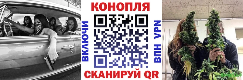 Бошки марихуана конопля  как найти закладки  Санкт-Петербург 